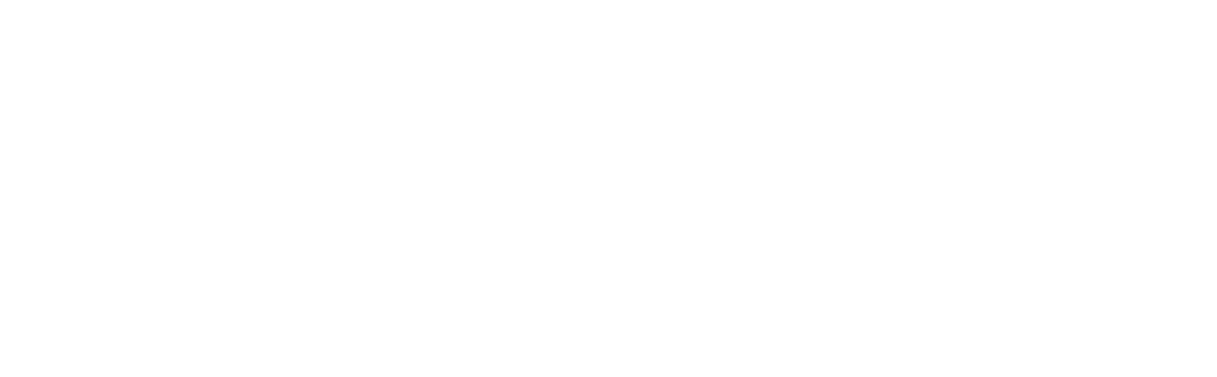 HOLISTICUNT